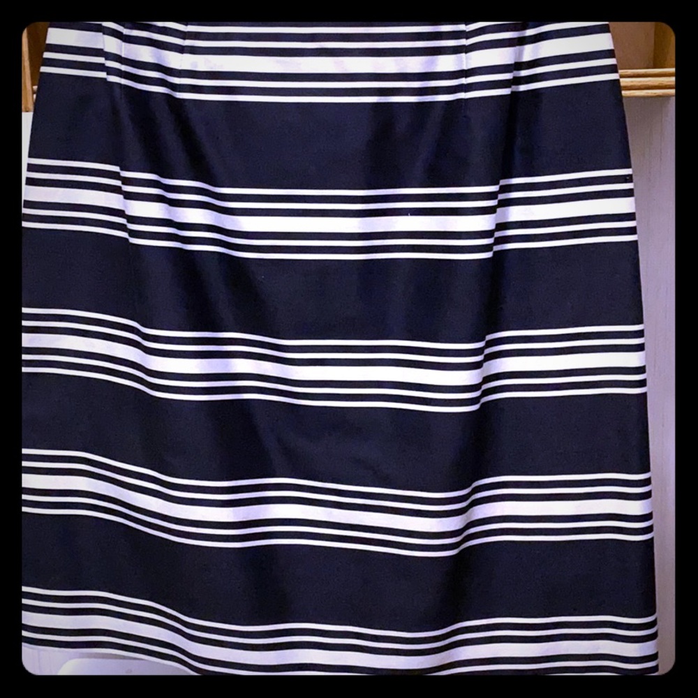 Stunning Talbots Skirt